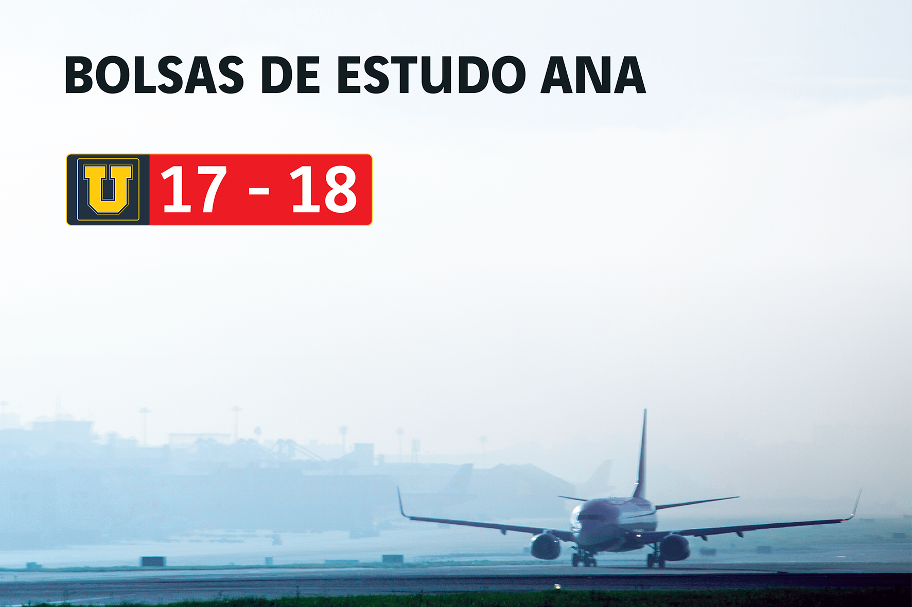 bolsas allowed in flight